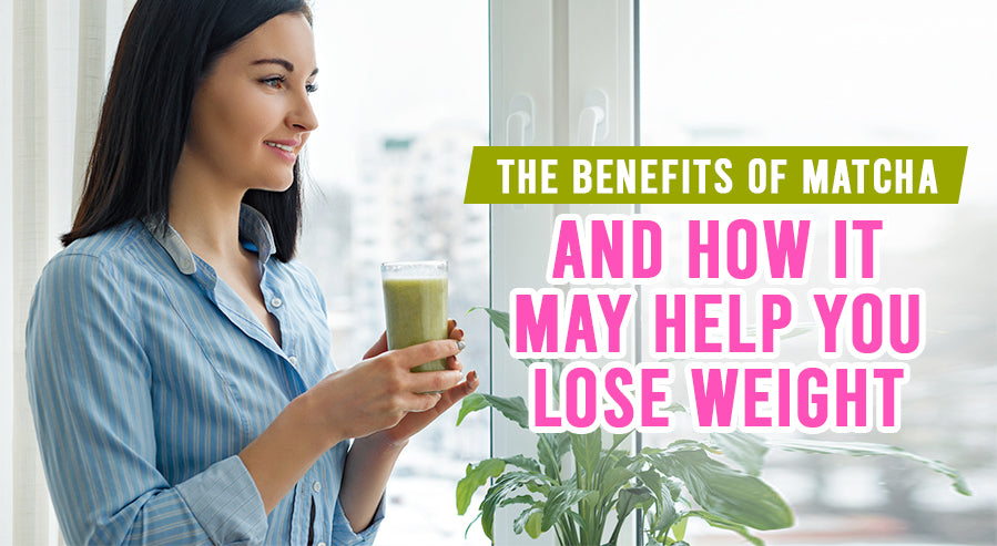 Why Matcha is Good For Weight Loss