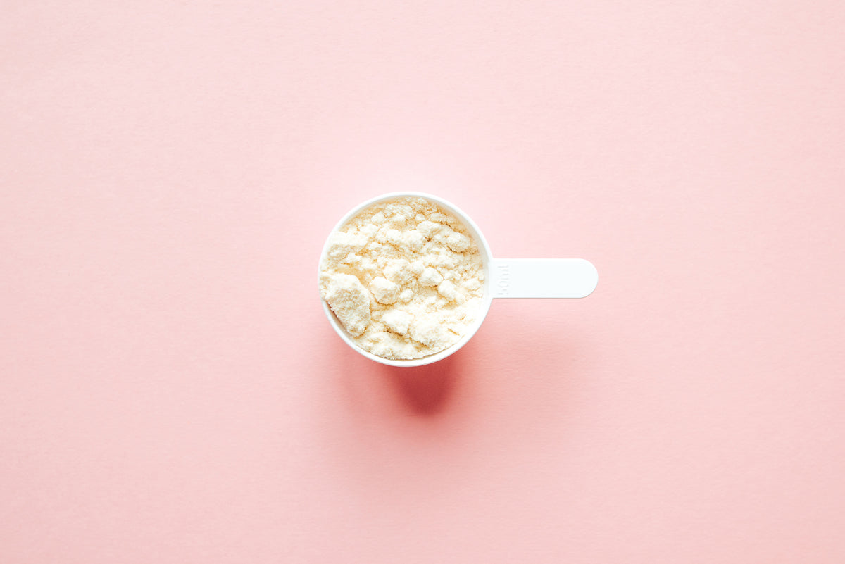 can-protein-help-me-lose-weight