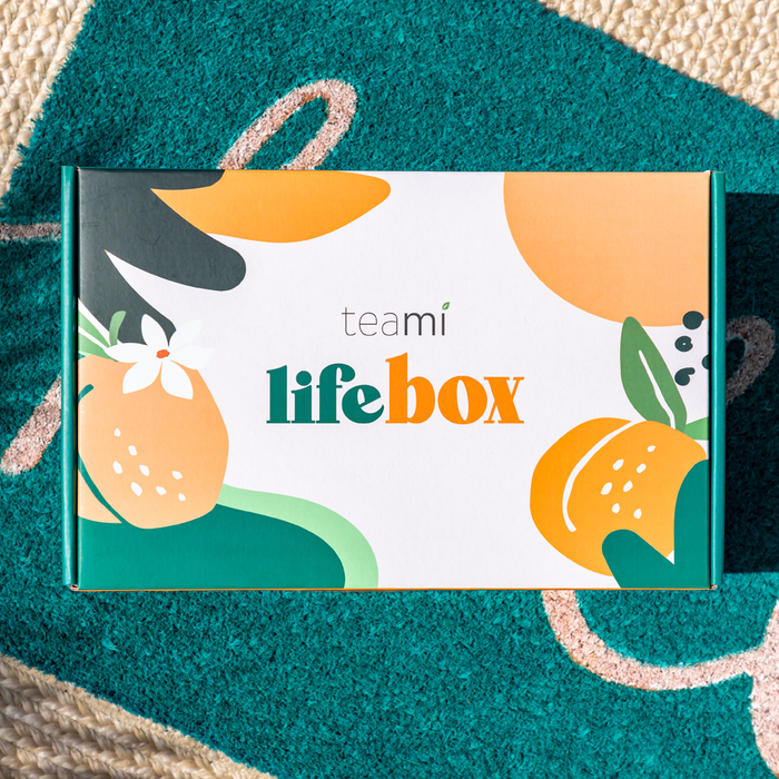 Lifebox - 2024 Edition!