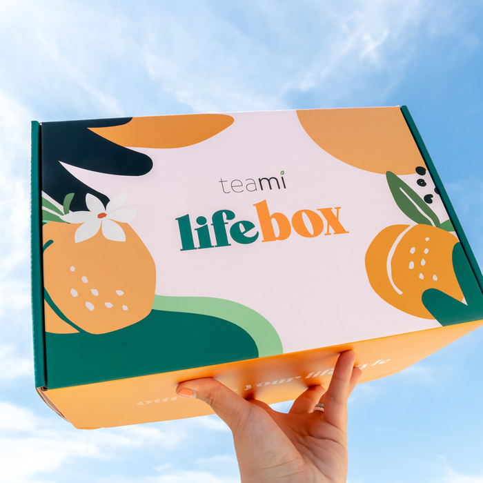 Lifebox - 2024 Edition!